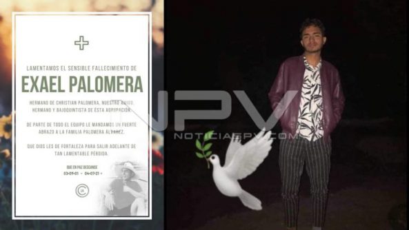 SEGURIDAD BAHIA 17495