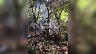 SEGURIDAD BAHIA 17545