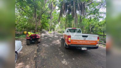 SEGURIDAD BAHIA 17876