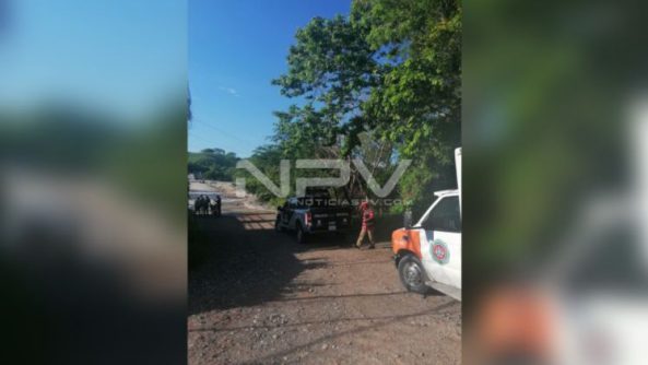 SEGURIDAD BAHIA 18106