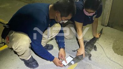 SEGURIDAD BAHIA 18468