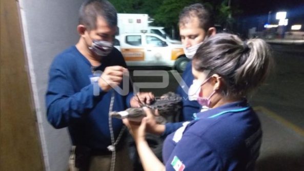 SEGURIDAD BAHIA 18477