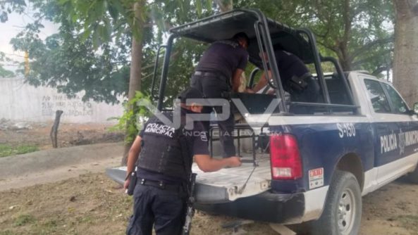 SEGURIDAD BAHIA 18697