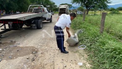 SEGURIDAD BAHIA 18768