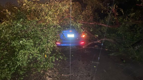 157AA06D-2F94-478F-8338-19B809757E3E