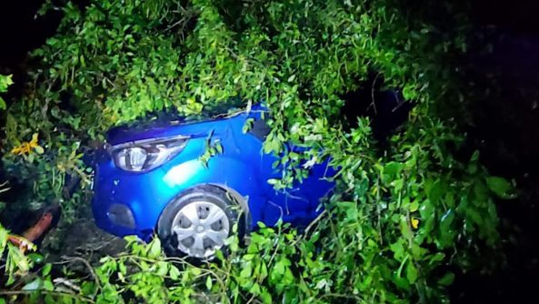 1E5D0ECE-2B2B-47D8-ABB7-D6A343E46A57