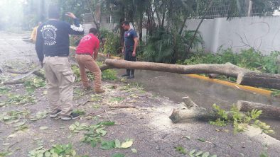 306F260C-F6B0-437D-B843-991B180A8087