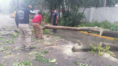 306F260C-F6B0-437D-B843-991B180A8087