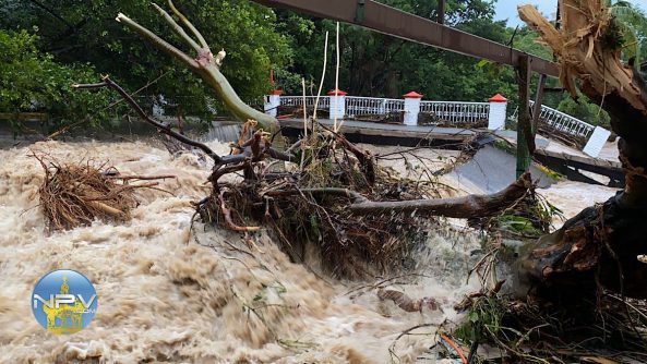 62165383-94EC-47F3-BC25-17F9F6895627