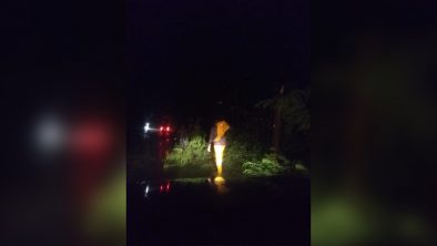 97AE8053-7A6E-470F-B9FC-DC5E834CCD20