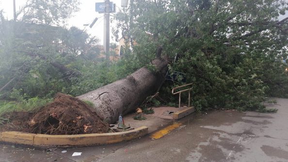 AD325242-A9A0-4671-8F5E-E0E354F72822