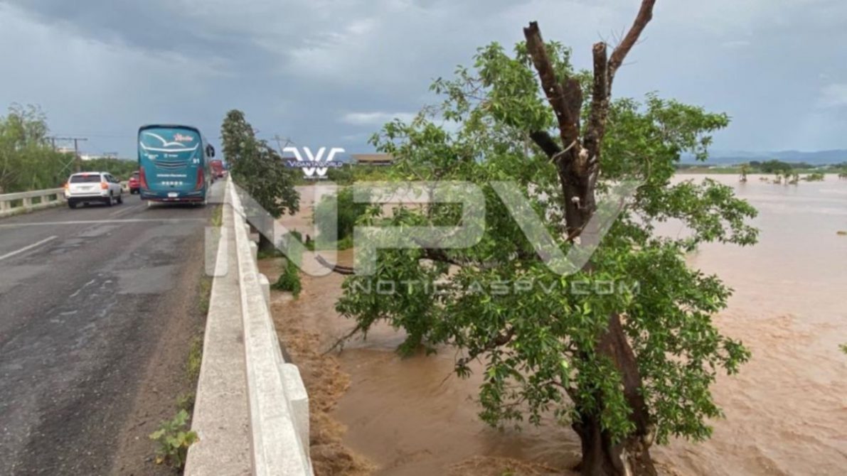 SEGURIDAD BAHIA 004