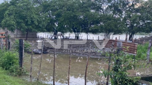 SEGURIDAD BAHIA 010