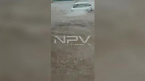 SEGURIDAD BAHIA 20952