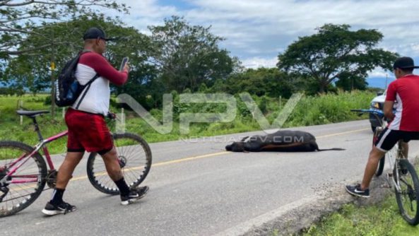 SEGURIDAD BAHIA 21301