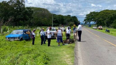 SEGURIDAD BAHIA 21304