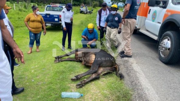 SEGURIDAD BAHIA 21305
