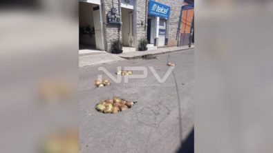 SEGURIDAD BAHIA 21839