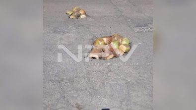 SEGURIDAD BAHIA 21840