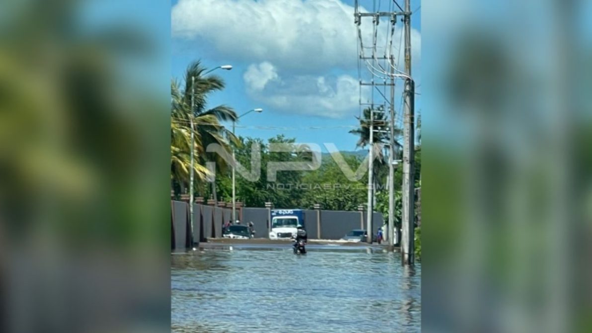 DESTACADAS 008