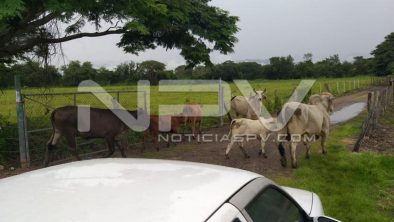 SEGURIDAD BAHIA 001
