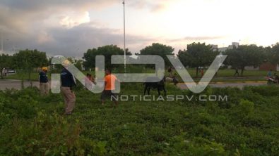 SEGURIDAD BAHIA 004