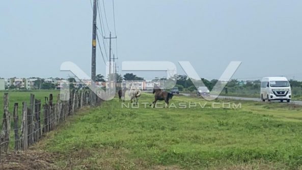 SEGURIDAD BAHIA 010