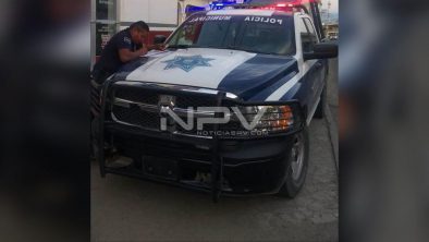 SEGURIDAD BAHIA 003