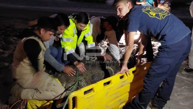 4D6BBE58-C8AE-48D8-8760-600278F7056C