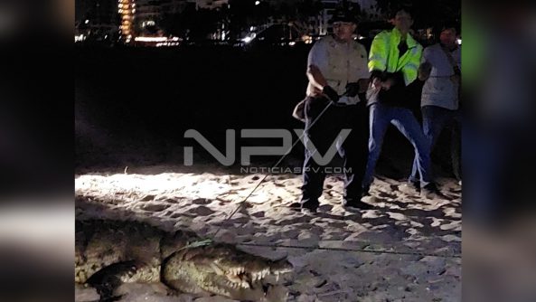 929ADF18-C812-4762-8876-05448182CB5B