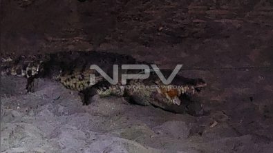 C1DB76CE-F08D-4A11-9493-056511970D5E