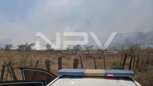 SEGURIDAD 005