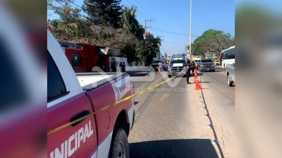 SEGURIDAD 010