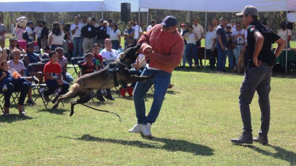 WhatsApp Image 2022-05-01 at 6.46.36 PM