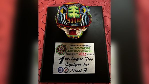 COMUNICADOS3195